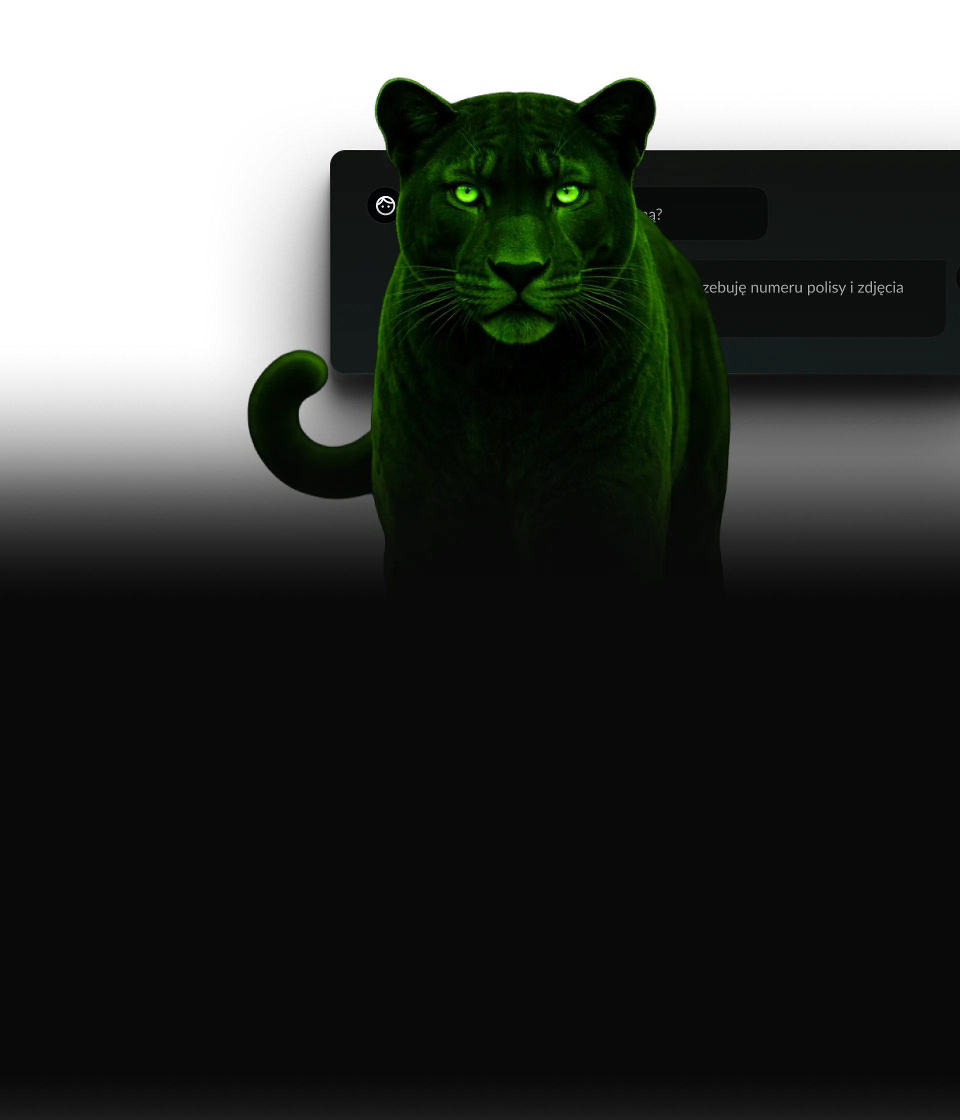 Puma - brand hero X-TALK.