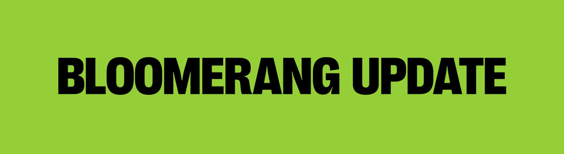 Bloomerang Update