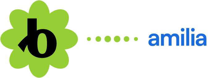 Amilia and Bloomerang integration