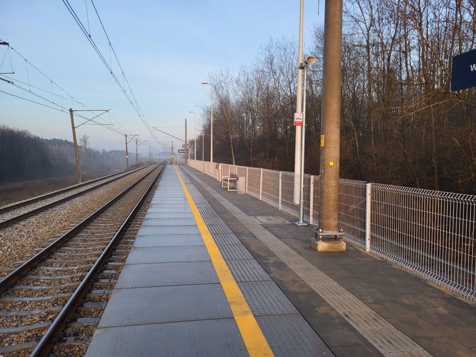 Opustoszały peron kolejowy z metalową nawierzchnią i żółtą linią, obok torów kolejowych, otoczony przez drzewa bez liści.