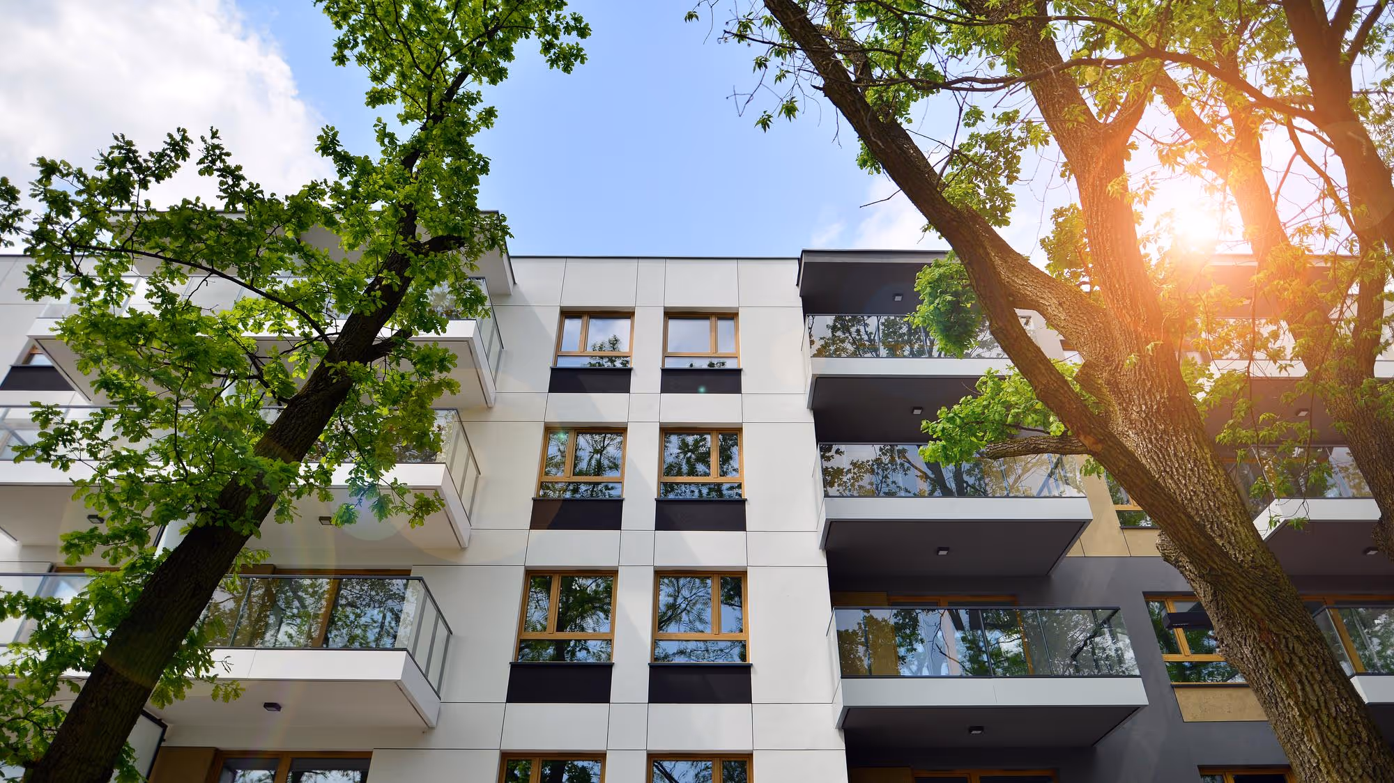 Façade moderne d'un immeuble avec balcons en verre, encadrée par de grands arbres verts sous un ciel bleu ensoleillé.