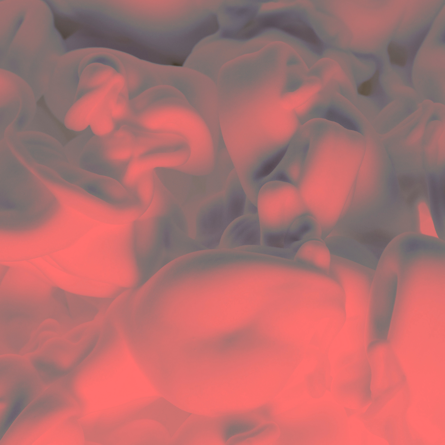 Building an AI-Driven Startup