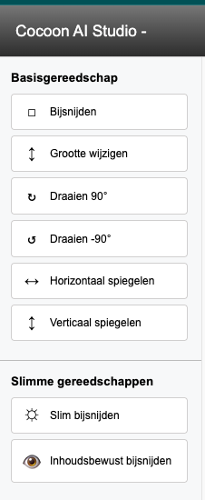 Basisgereedschappen en slimme gereedschappen voor beeldbewerking in Cocoon Studio.