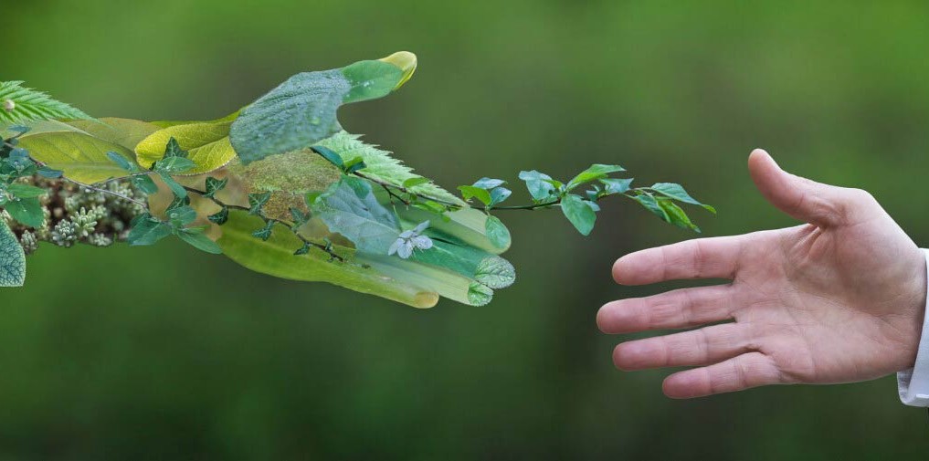 Engagement global RSE