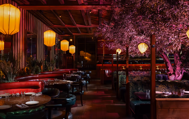 The terrace at Mama Yo lit with lanterns