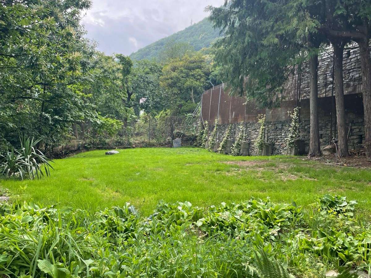 Intervento di manutenzione del verde in giardino