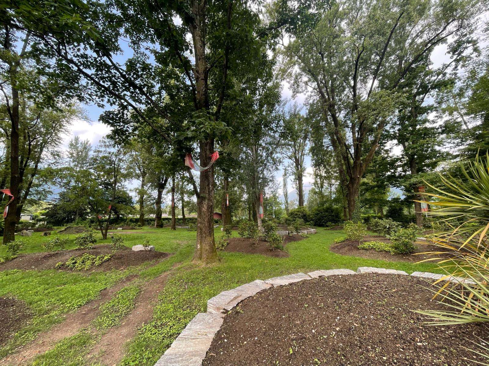 Potatura professionale