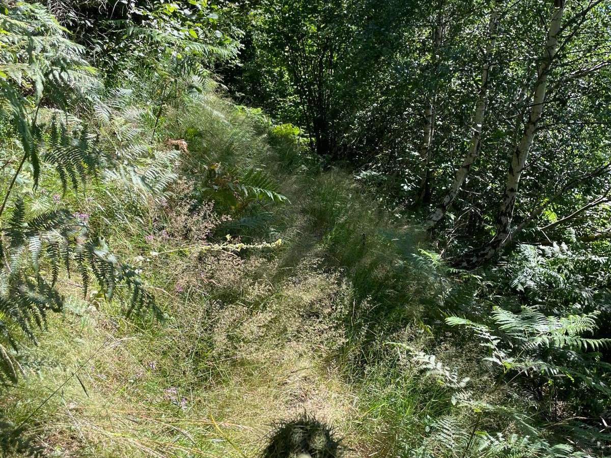 Lavori di manutenzione giardini