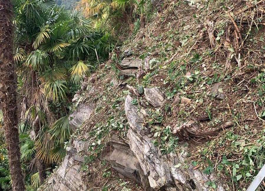 Intervento di manutenzione in giardino