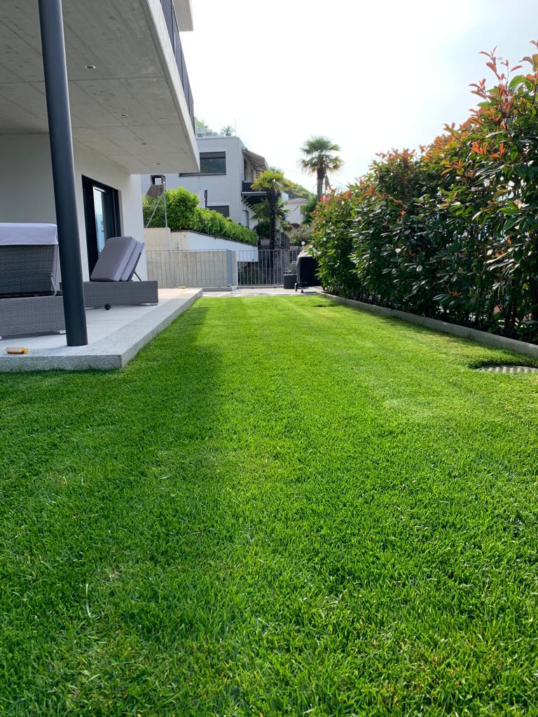 Prato del  giardino arieggiatura