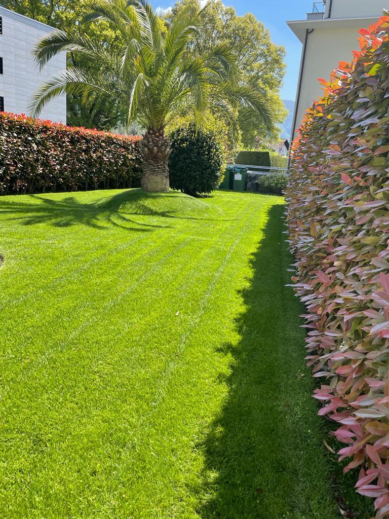 Manutenzione giardini