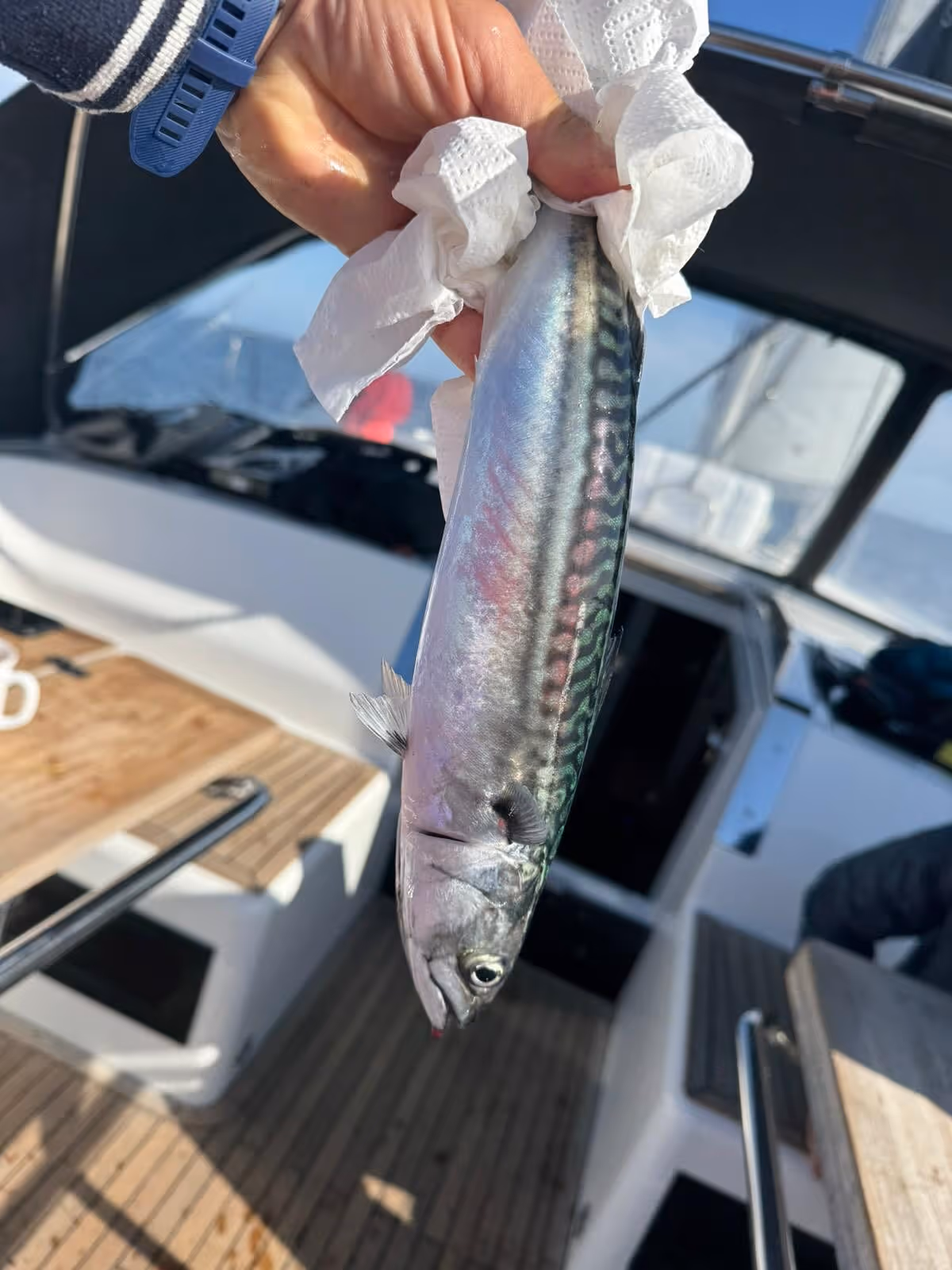 Wyprawa Kolumba 2025