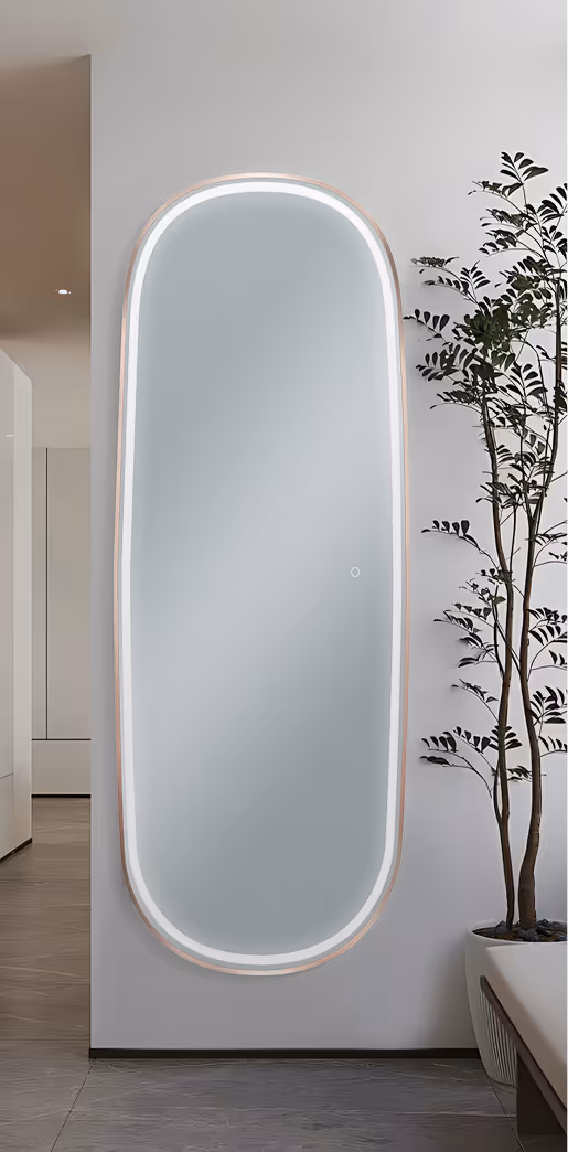 Tall oval mirror with built-in LED light mounted on a white wall next to a potted green plant in a modern interior.