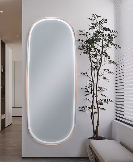 Tall oval-shaped wall mirror with LED backlight in a modern room next to a potted plant and window blinds.