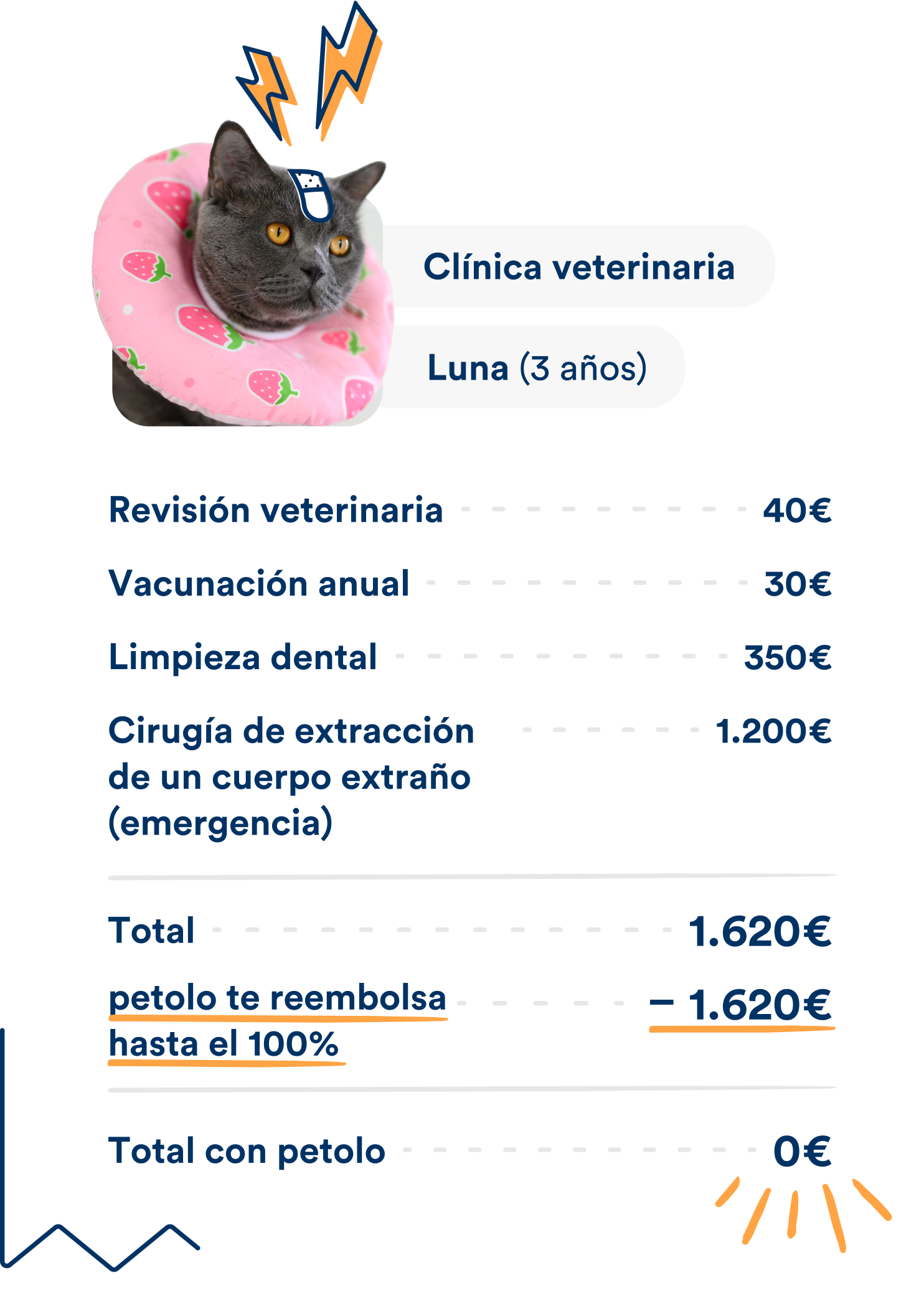 Factura veterinaria de una gata llamada Luna (3 años) con costes de revisión (40 €), vacunación anual (30 €), limpieza dental (350 €) y cirugía de extracción de cuerpo extraño de urgencia (1.200 €), total 1.620 €, reembolsado al 100 % por el seguro petolo, coste final 0 €