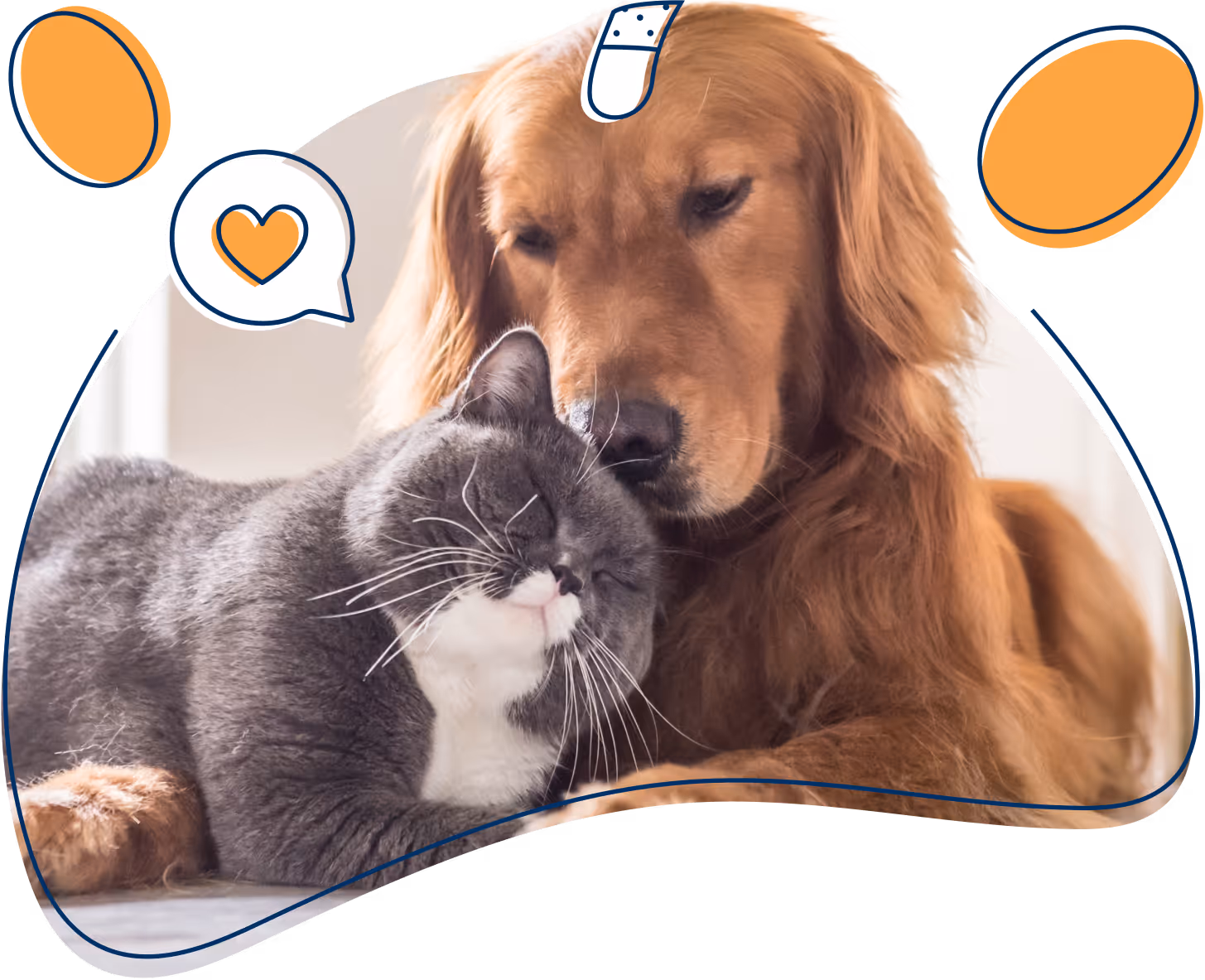 Perro y gato acurrucados mostrando cariño, representando el seguro de salud para mascotas de petolo con protección para perros y gatos