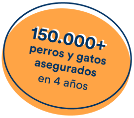 Más de 150.000 perros y gatos asegurados en 4 años con petolo