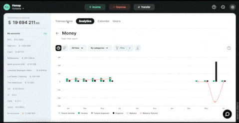 Filters in the Money (Cash Flow) report in Finmap
