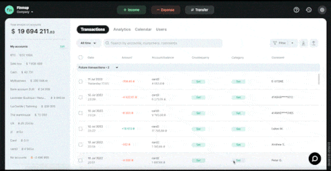 Money (Cash Flow) report in Finmap