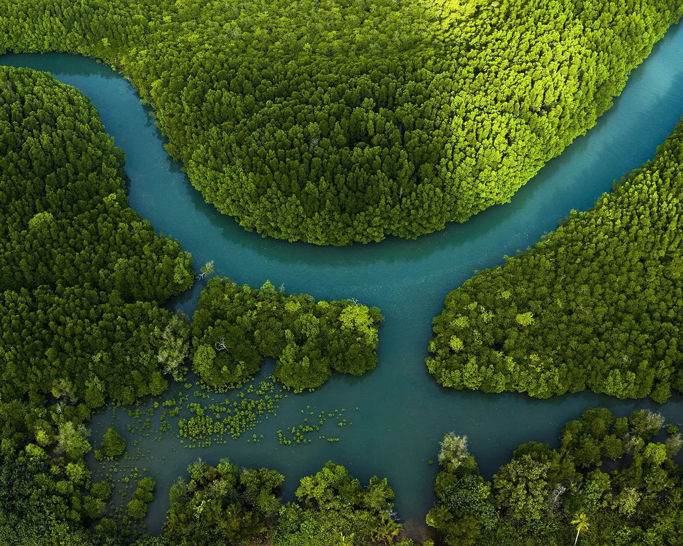 Photographie environnement engagement austral groupe énergie