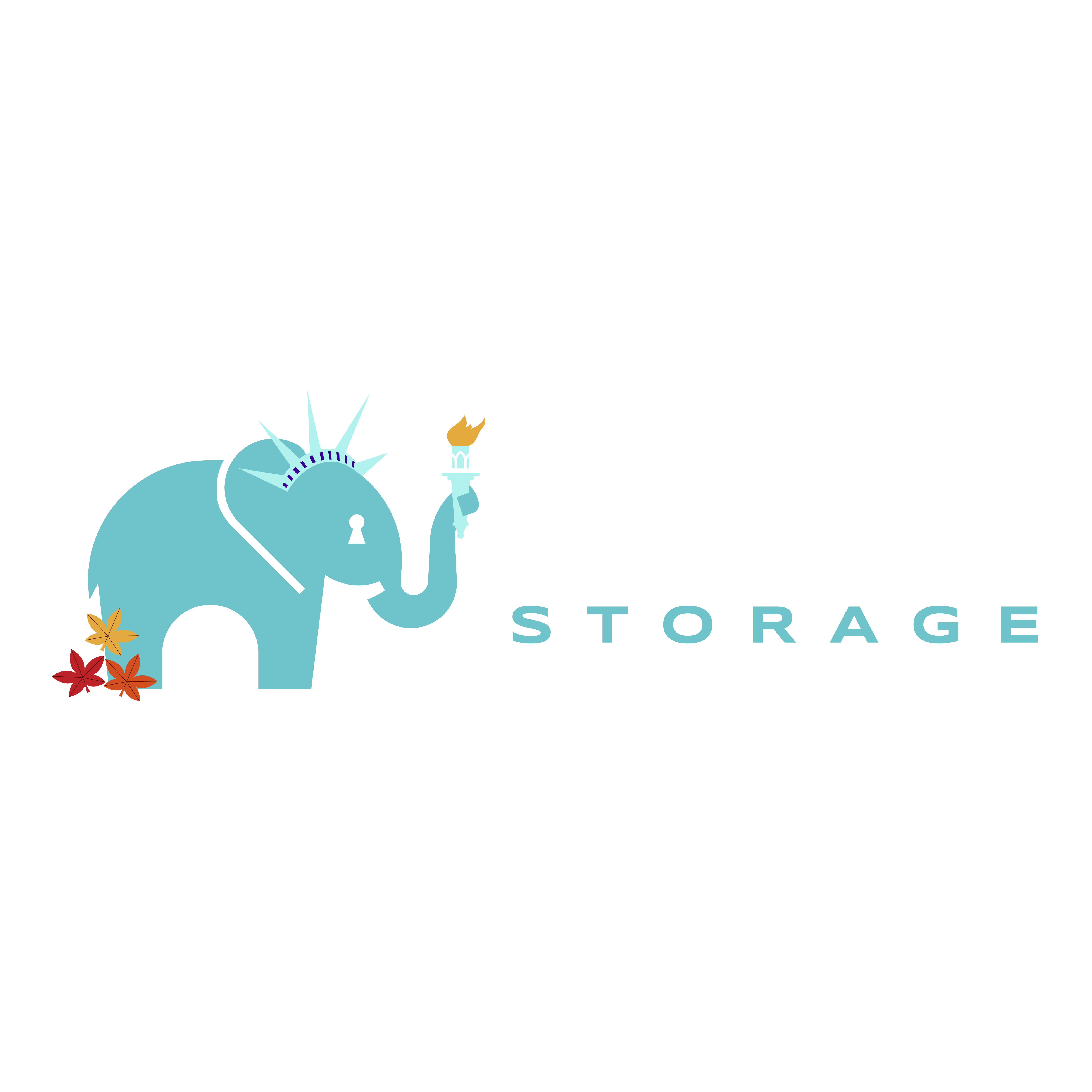 Trunk Space Storage New York