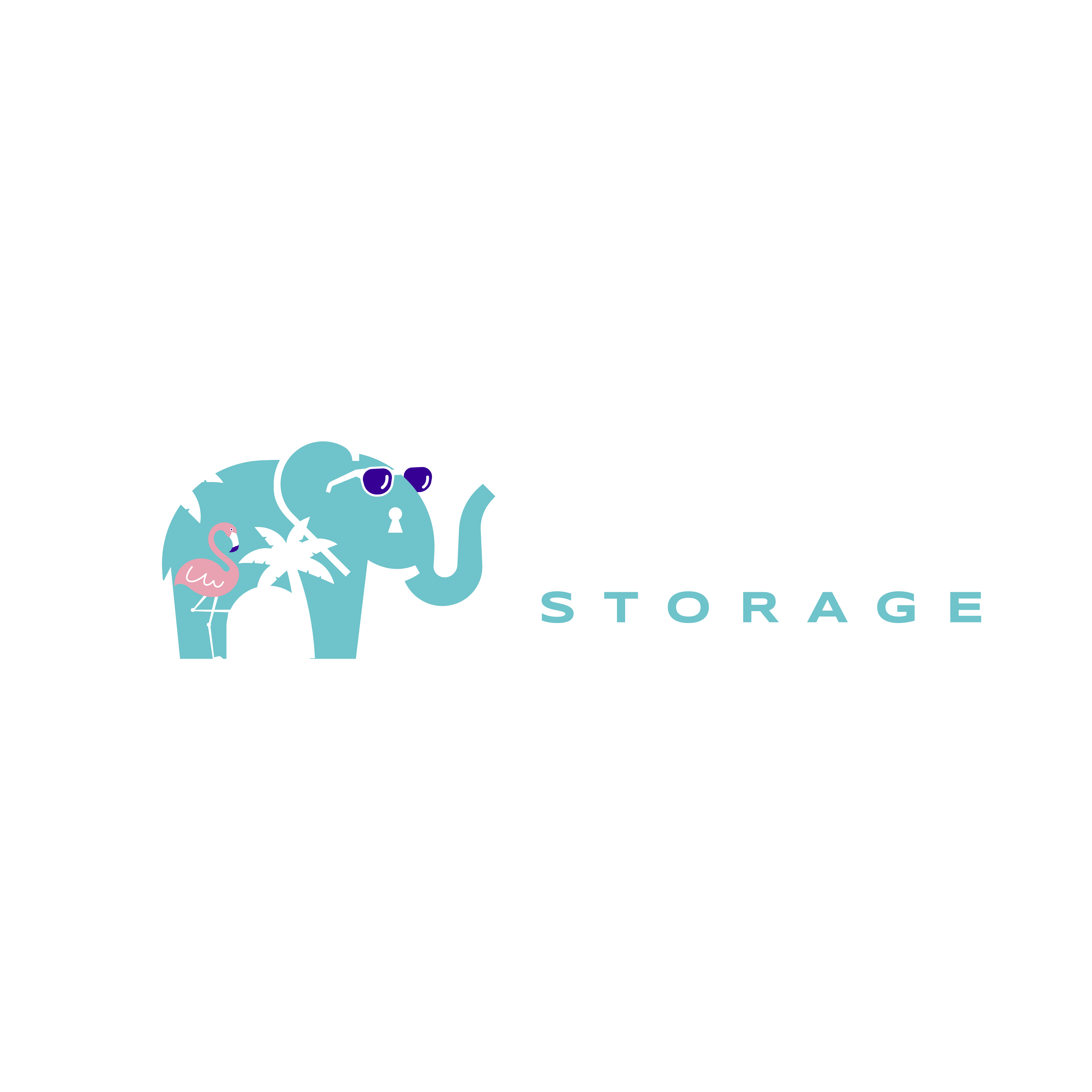 Trunk Space Storage Florida