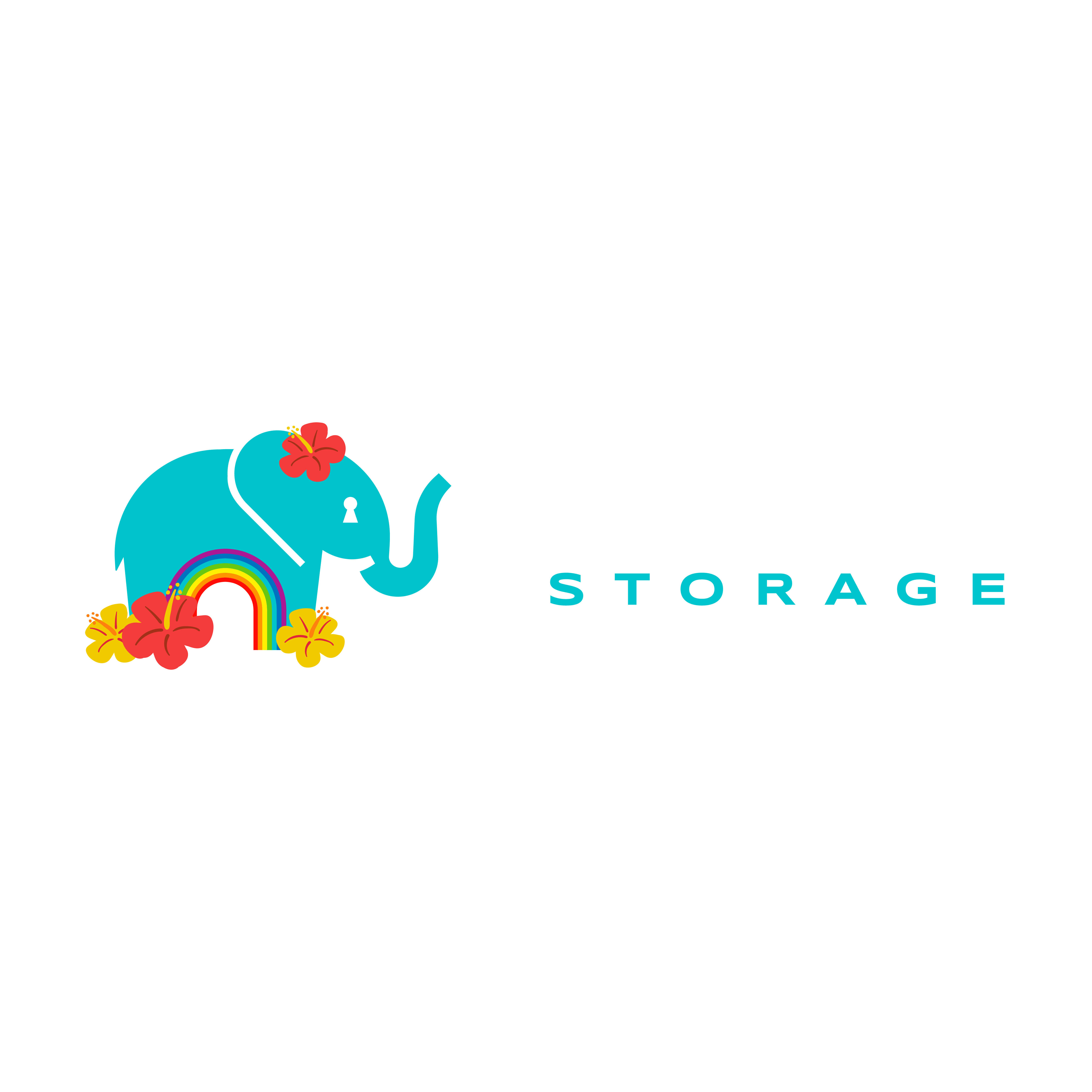 Trunk Space Storage Hawaii