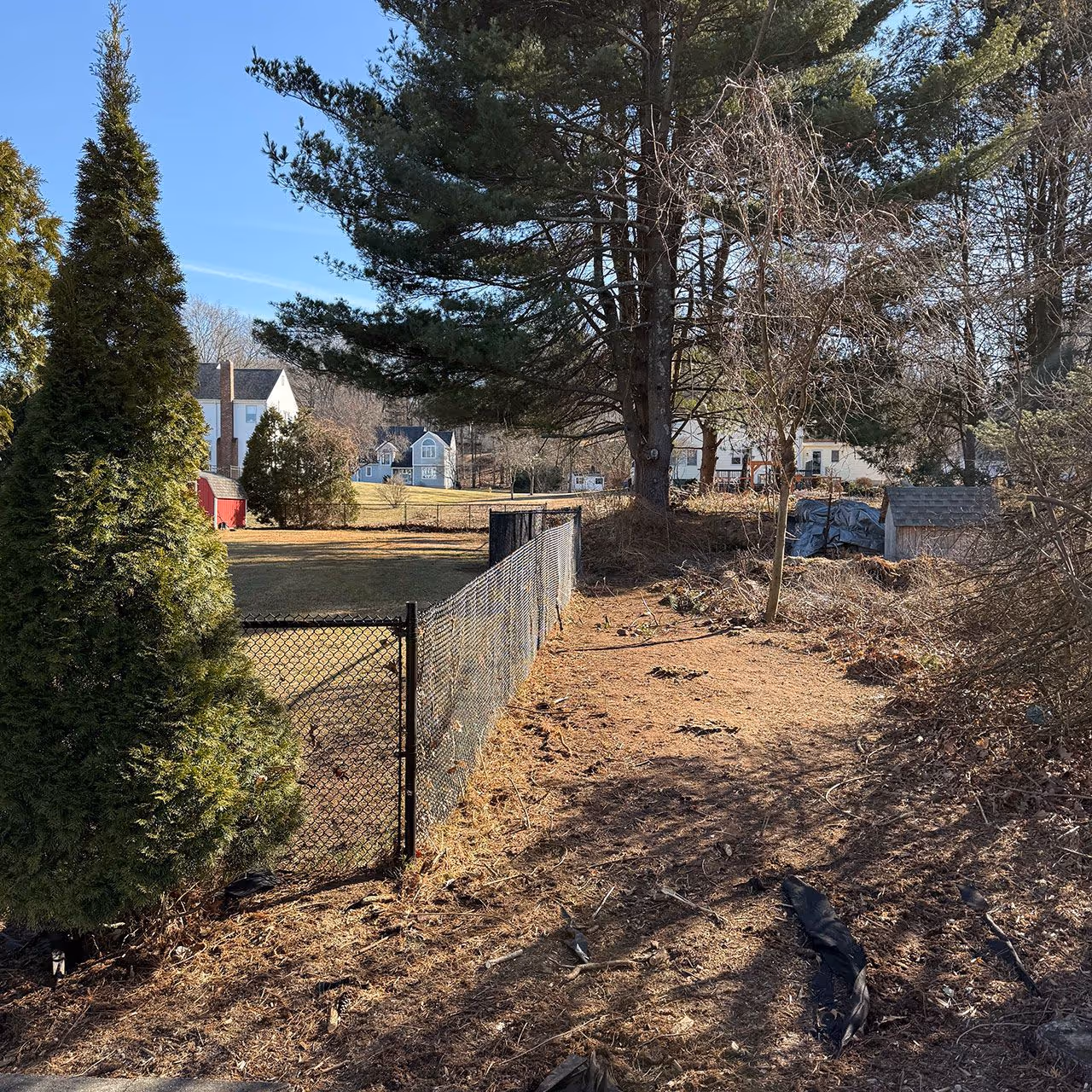 Large area brush clearing by Earth Management Solutions LLC