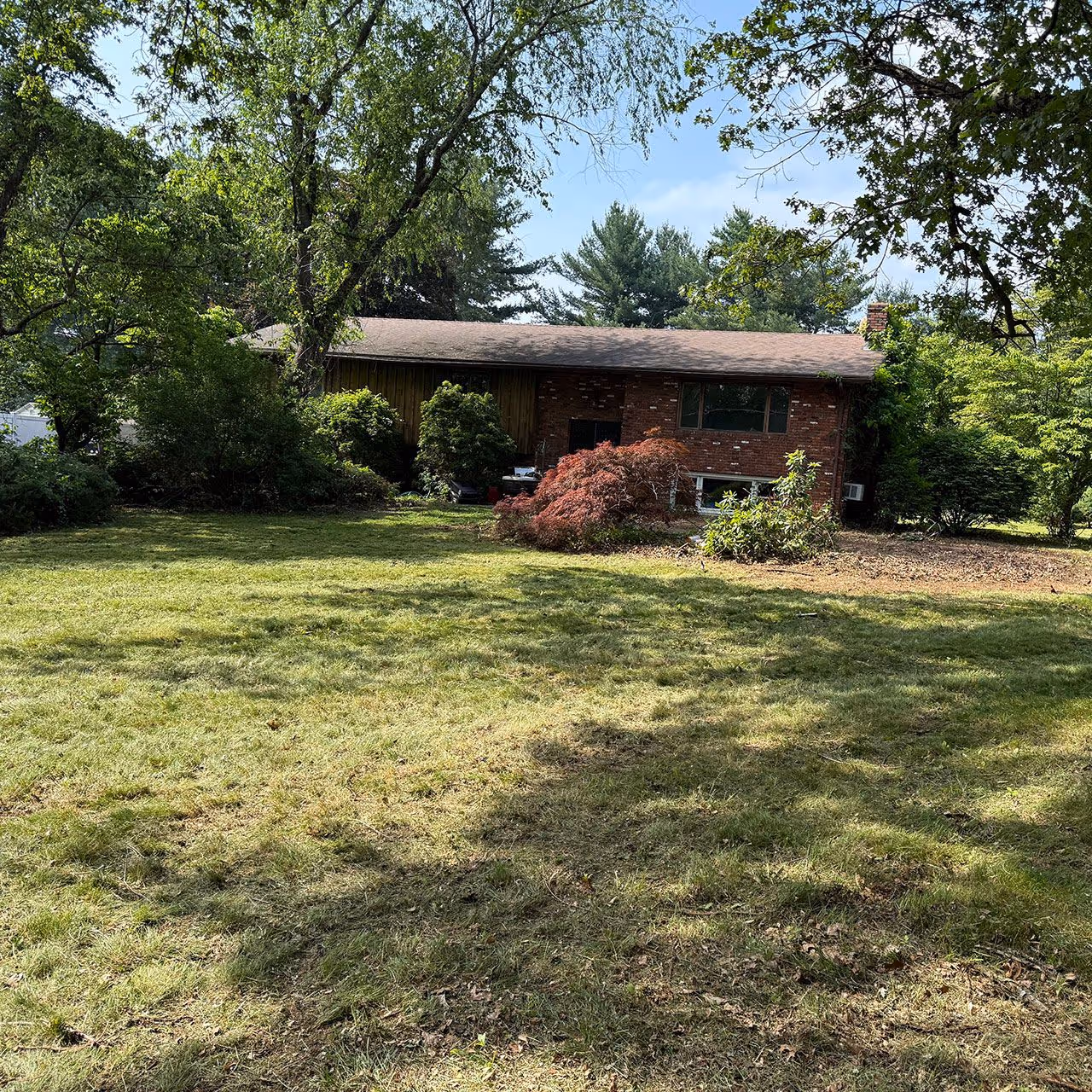 Overgrown property reclamation services near me