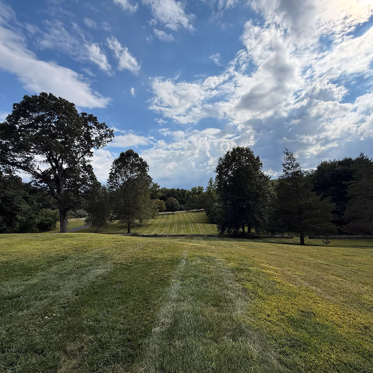 Commercial lawn mowing and turf care services