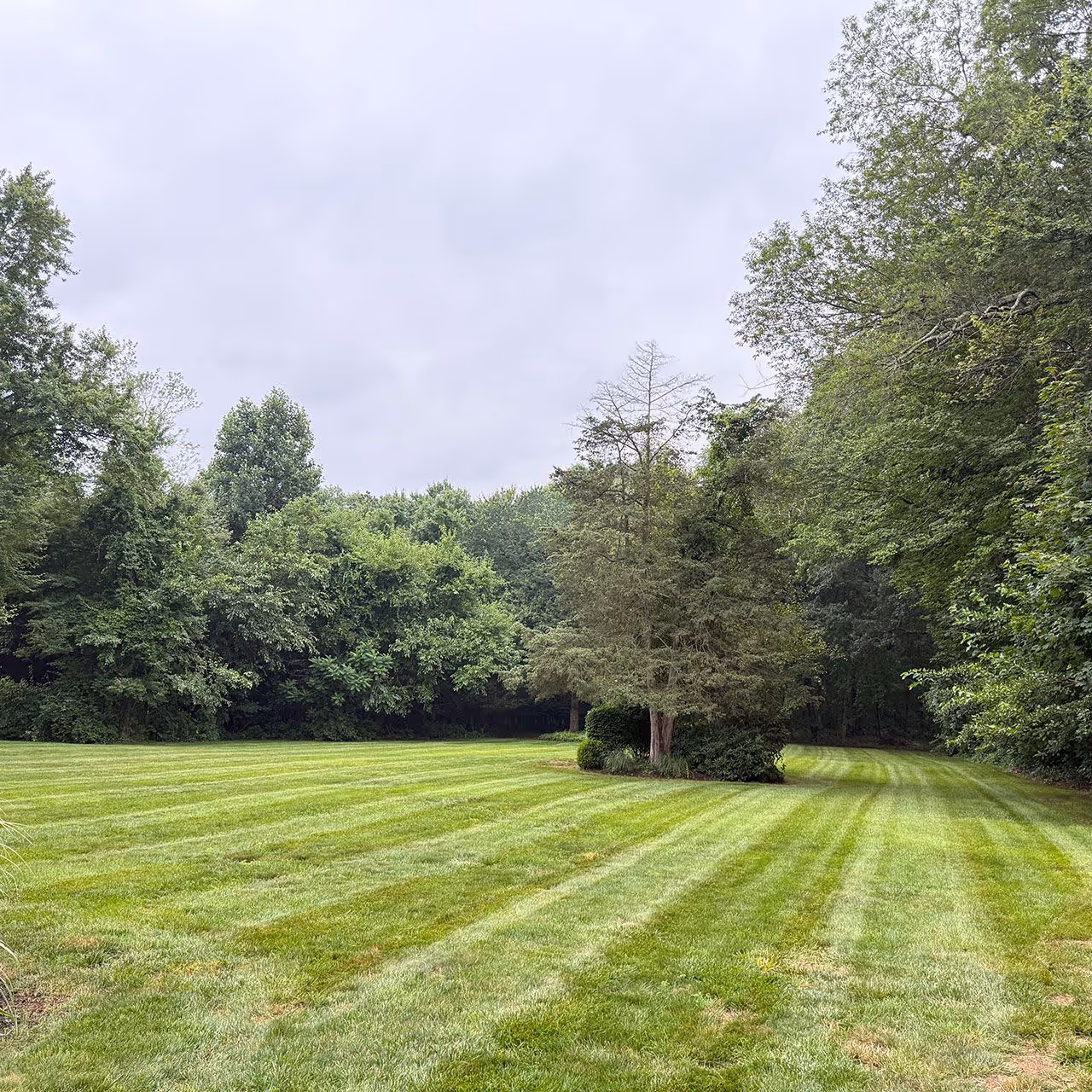 Weekly lawn mowing services by Earth Management Solutions LLC