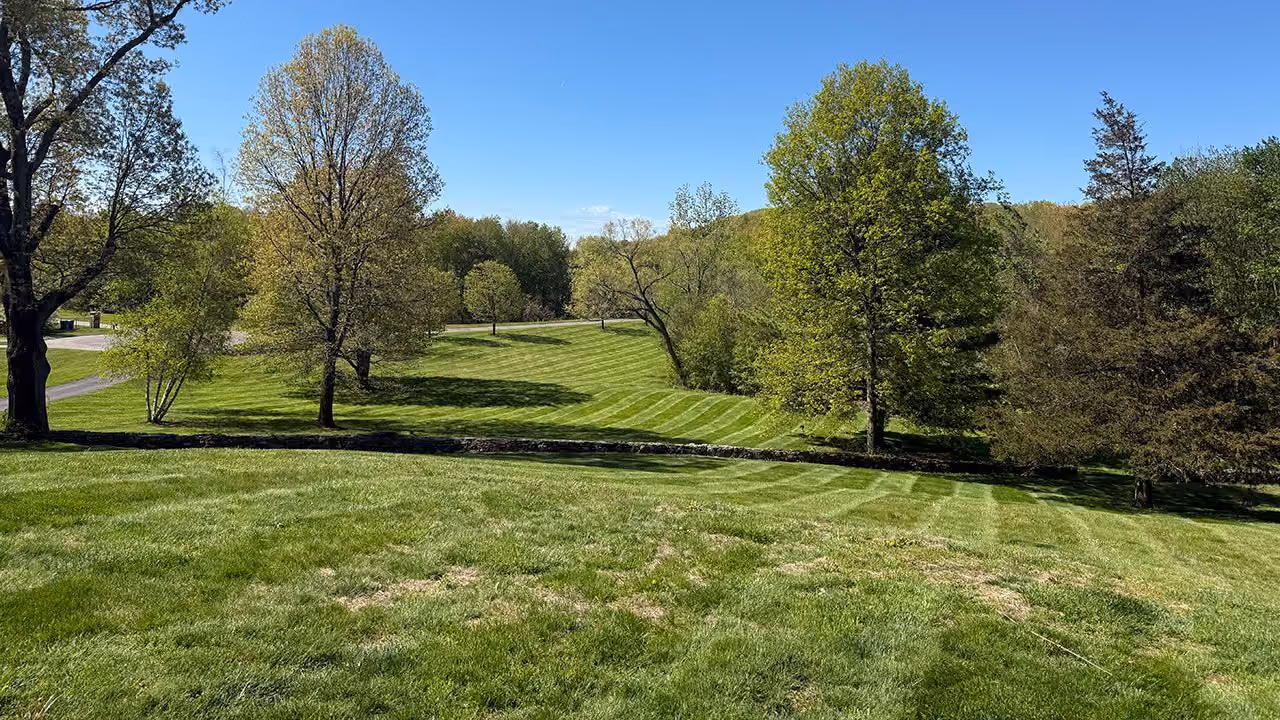 Residential lawn care services providing consistent mowing and turf maintenance by Earth Management Solutions LLC