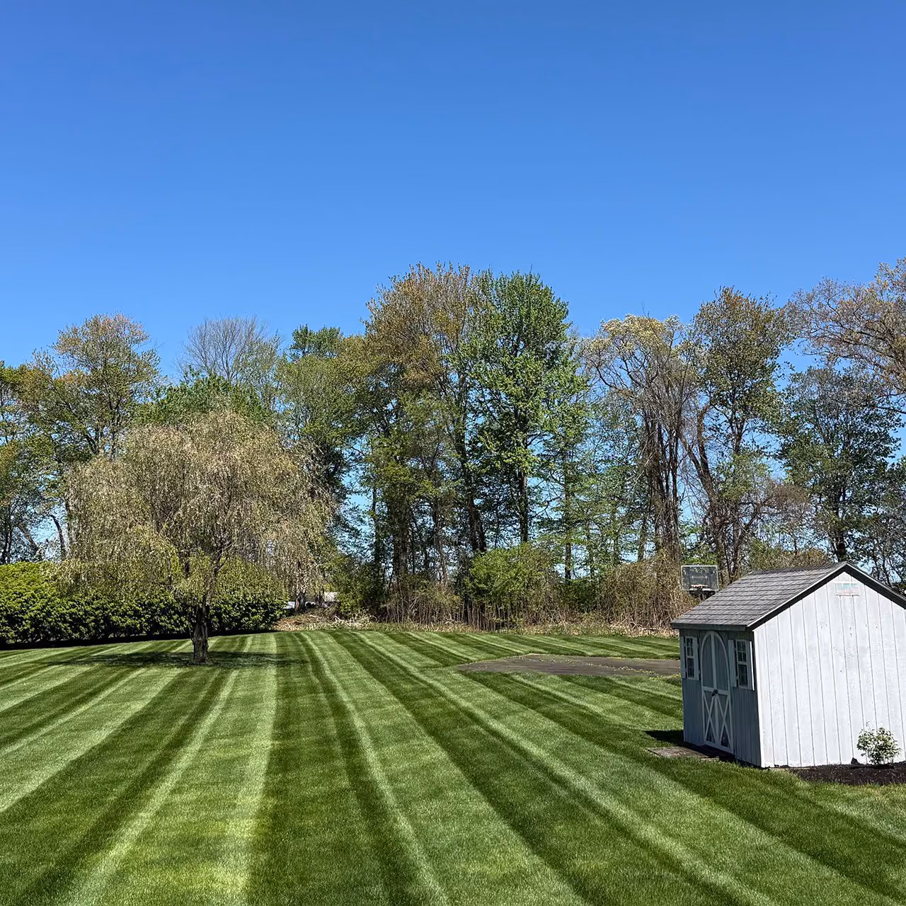 Freshly mowed field in backyard with rich green stripes by Earth Management Solutions LLC