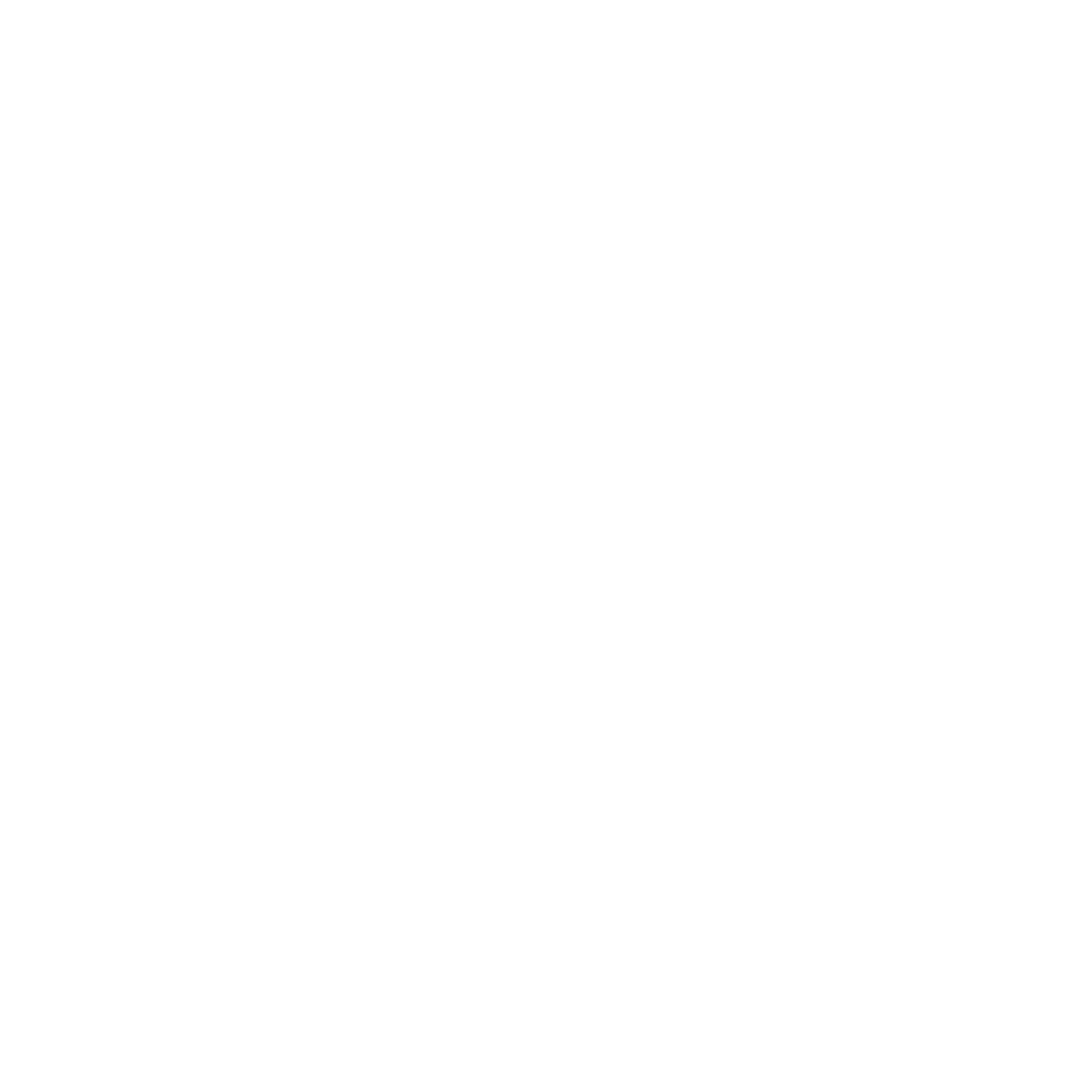 Logo Kunzle