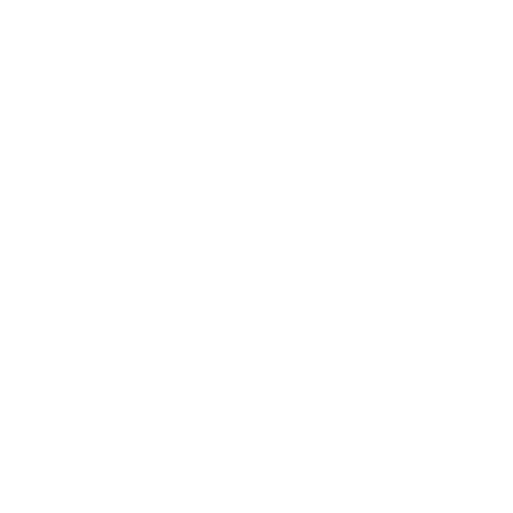 Logo Les Bons sirops Morand