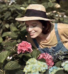 Young woman wearing a straw hat and denim overalls smelling pink hydrangea flowers in a garden.