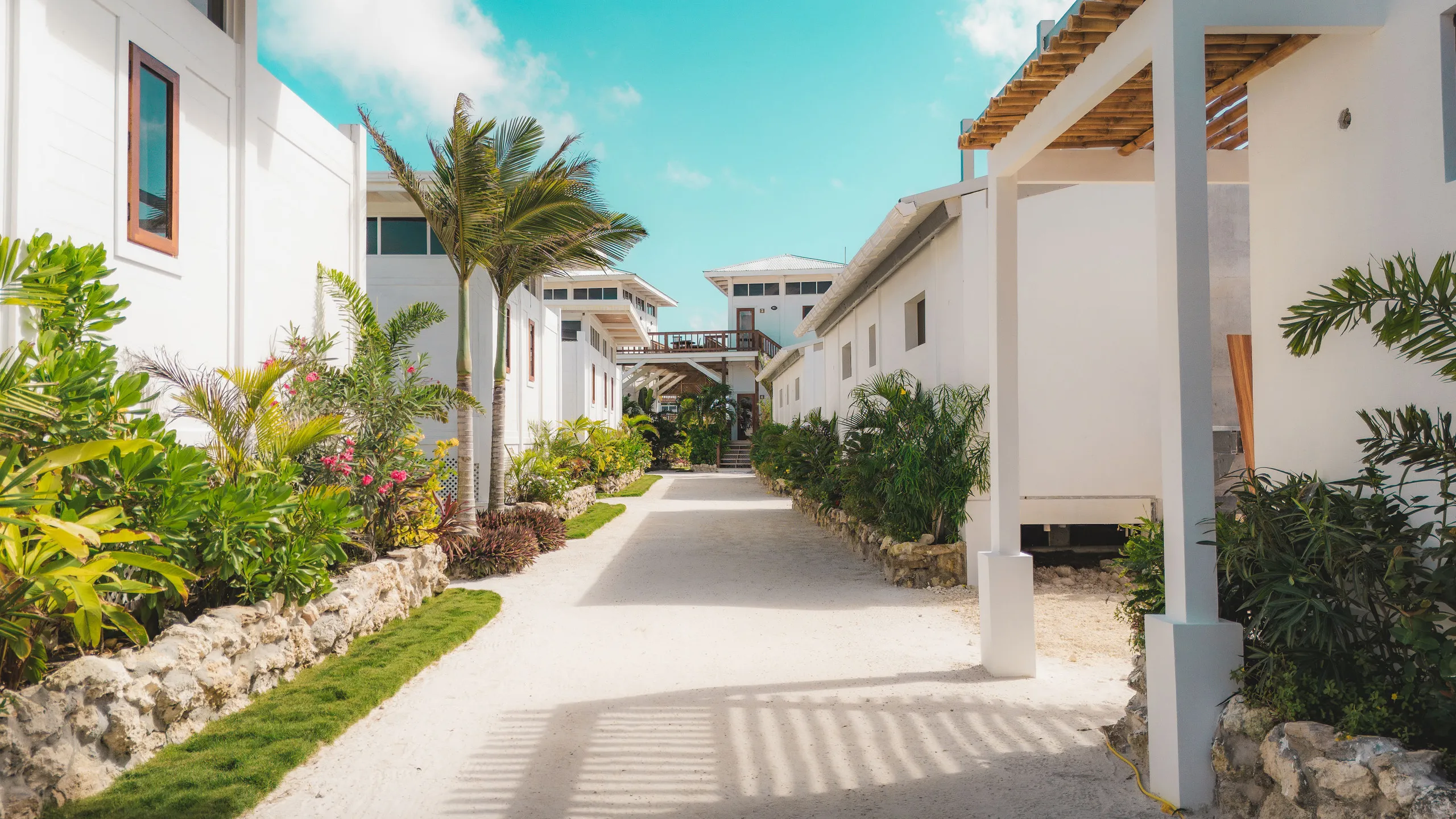 Sandy pathway lined with green tropical plants and white modern buildings under a blue sky with scattered clouds.