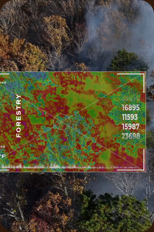 Aerial view of forest trees with smoke rising, overlaid with a colorful heatmap labeled Forestry and a numeric scale.