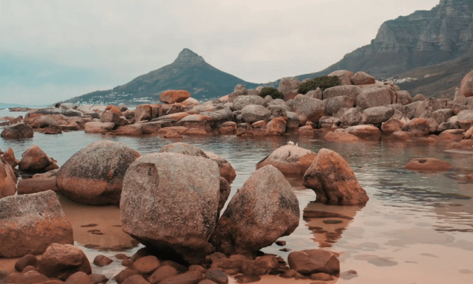 Adroven-landing-hero-marquee-three