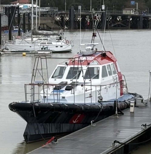 Vedette Eider