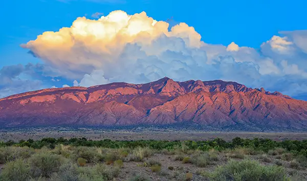 Sunlit mountain range with rugged peaks under a blue sky and large white clouds, with desert vegetation in the foreground.