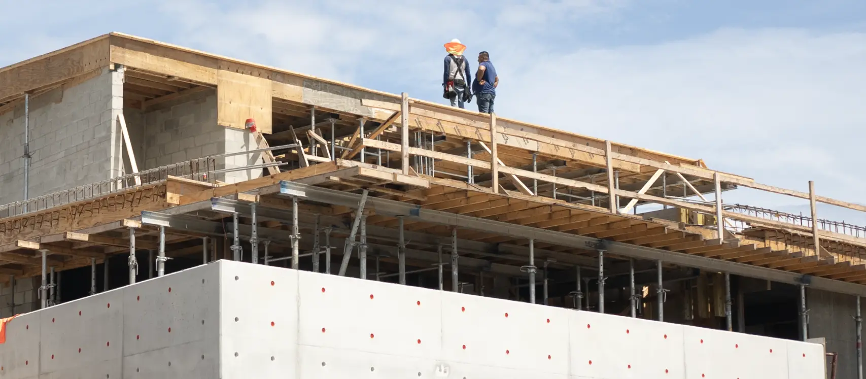 Amarilla insights article main photo