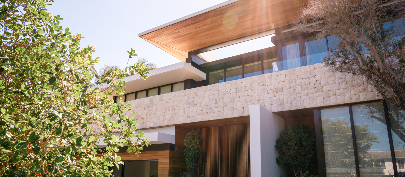 Amarilla insights article image