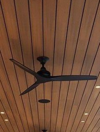Ceiling fan option