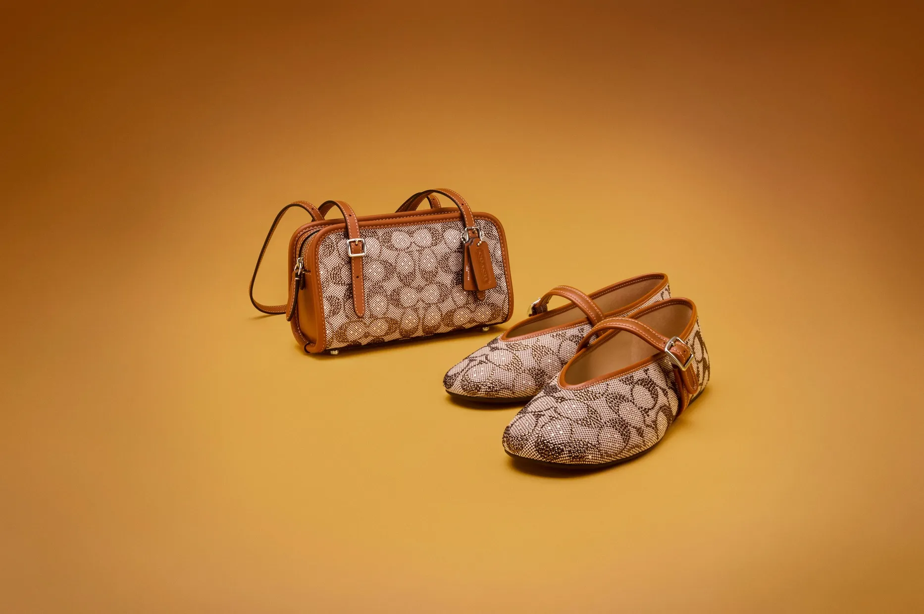 Coach Bag Retouching 04