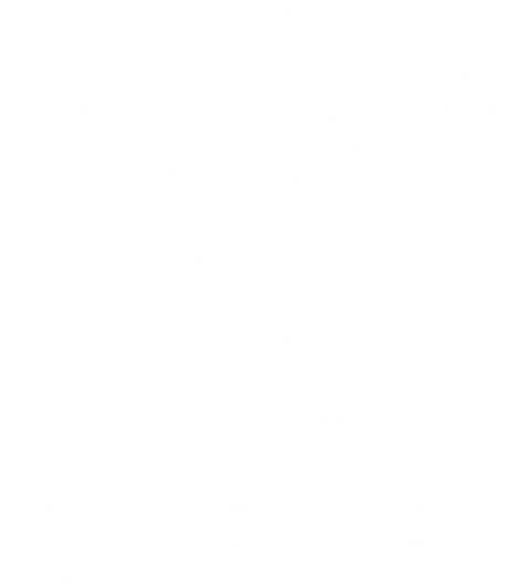 Elsevier