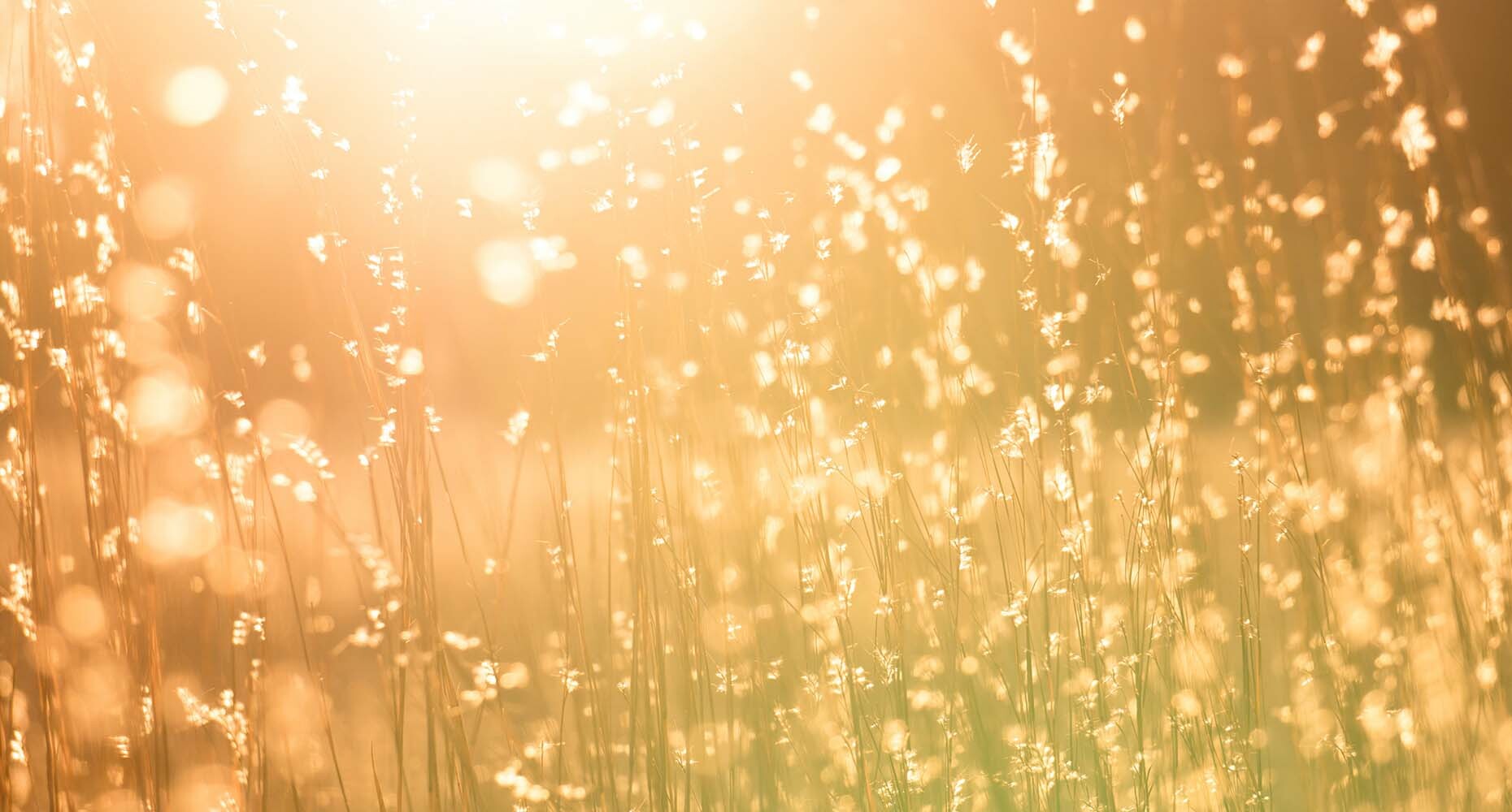 Prospect like a gold-seeker + 4 more tips for optimizing your outbound sales process