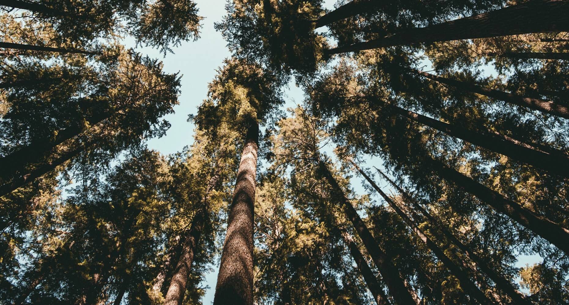 Forbes names Outreach a rising star in world's best 100 Cloud Companies list