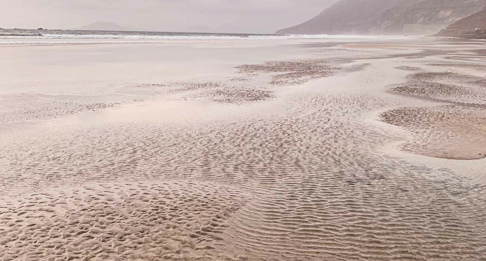 Users can now wake up to a preview of their day's activities, right in their inbox