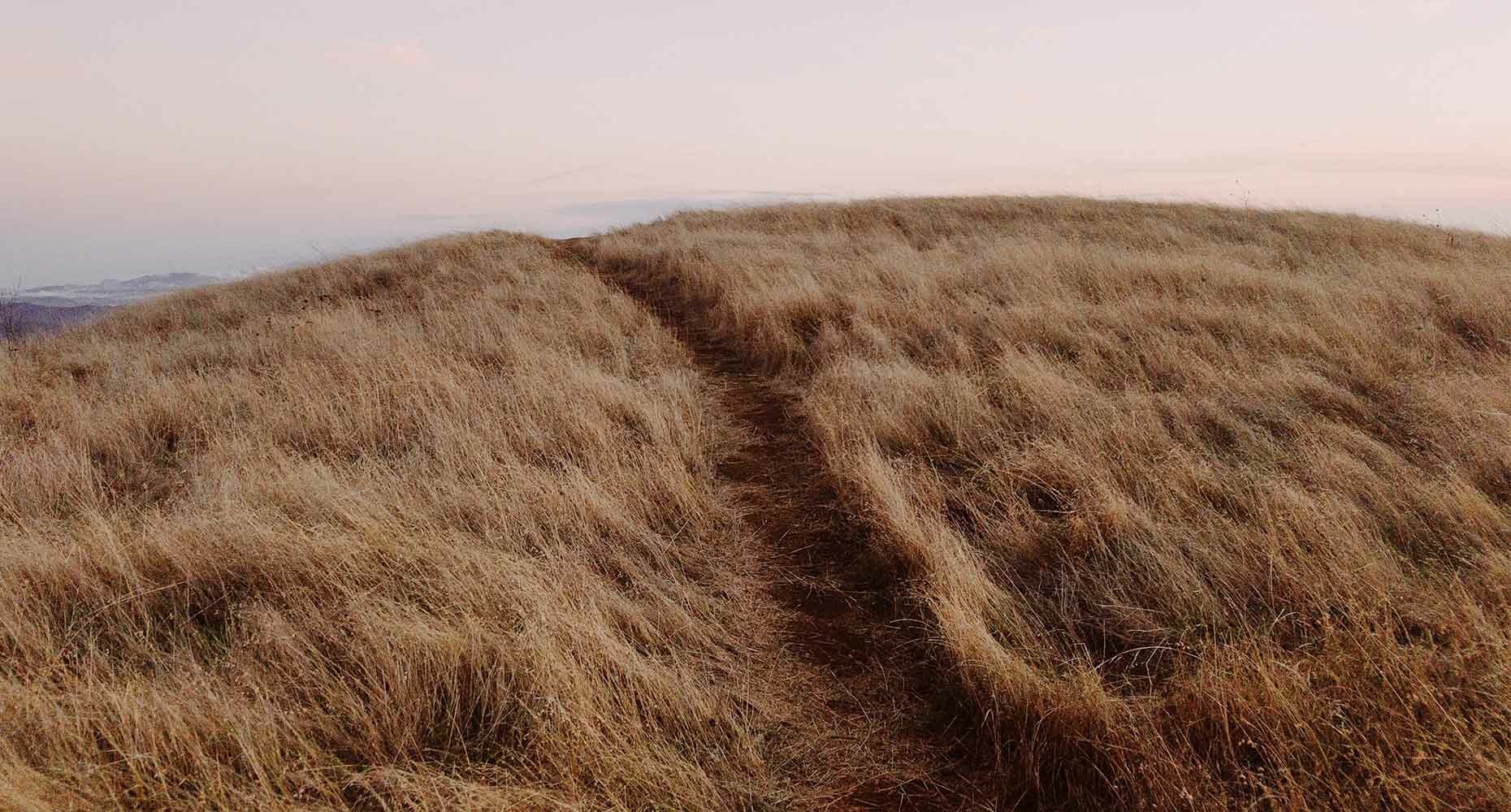 You can now customize your list of call purposes for activity tracking